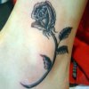 tattoos varios